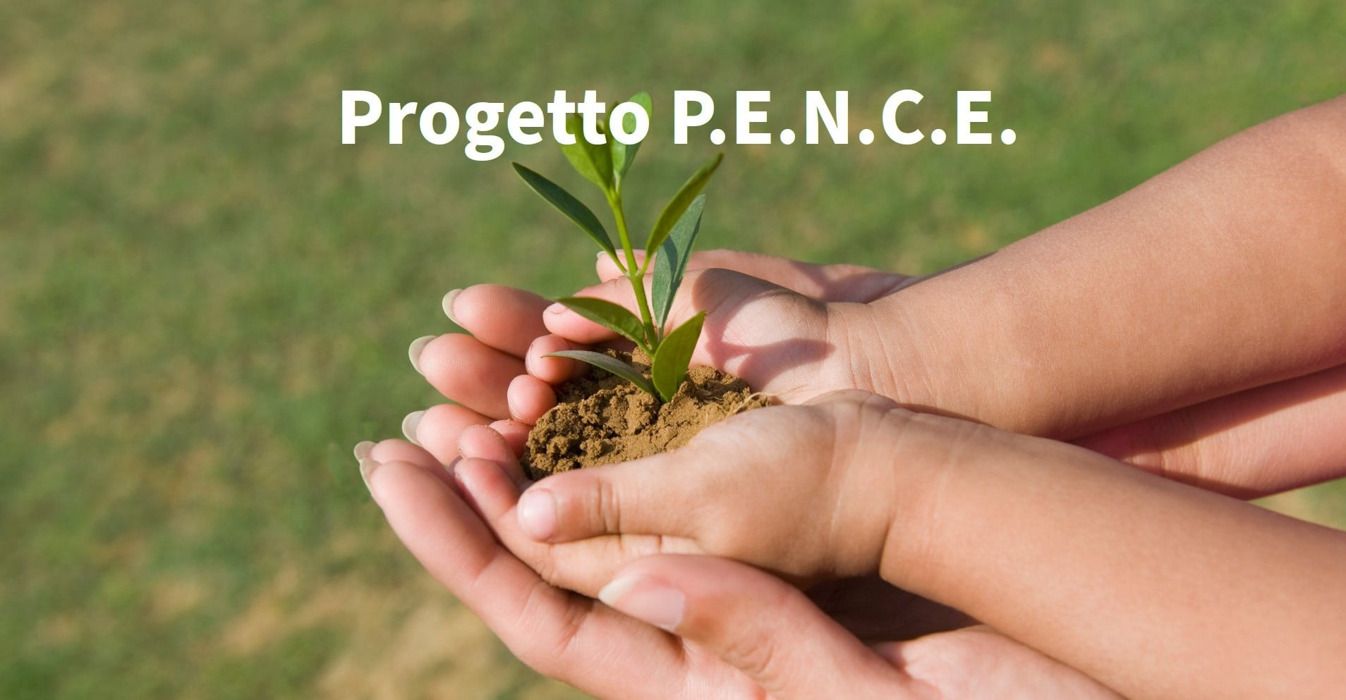 Progetto 