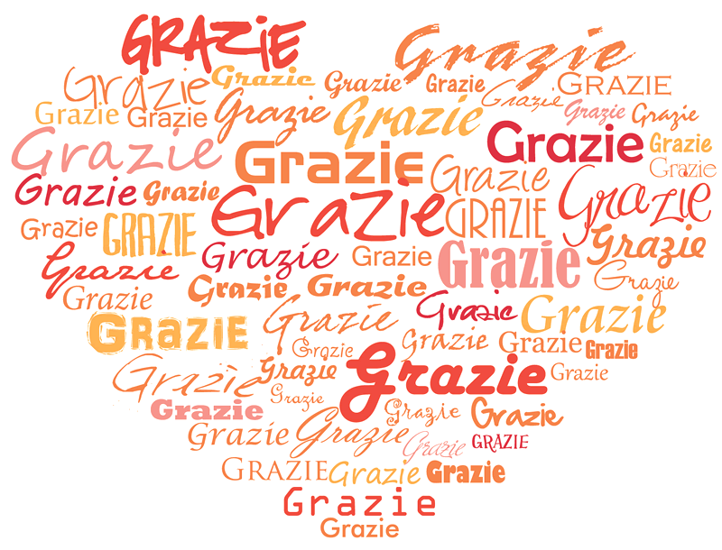 Ringraziamenti